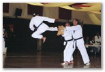 bm_taekwondo_lauingen_11_05.jpg